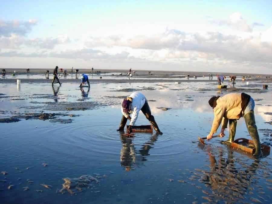 Le Gite De Martine En Baie De Somme Villa Lancheres Ngoại thất bức ảnh