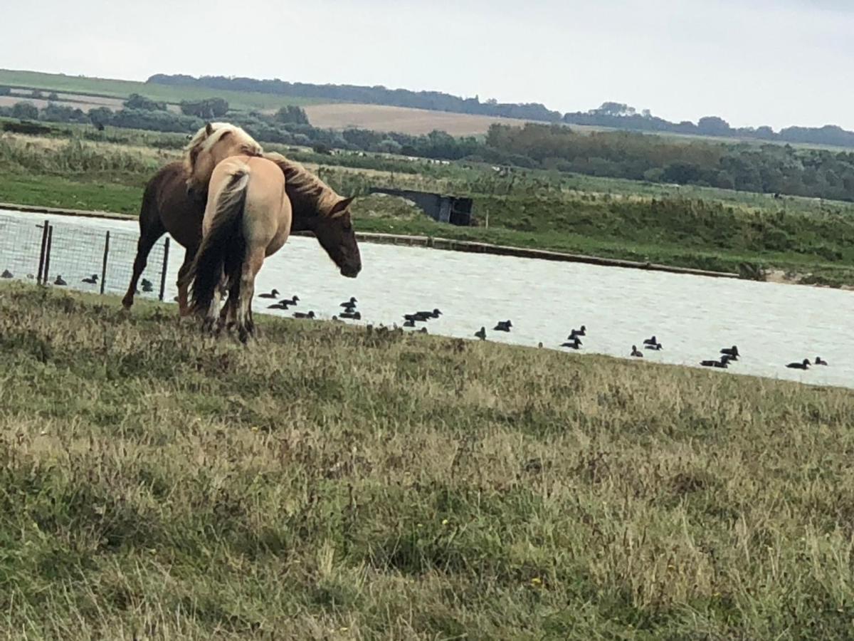 Le Gite De Martine En Baie De Somme Villa Lancheres Ngoại thất bức ảnh