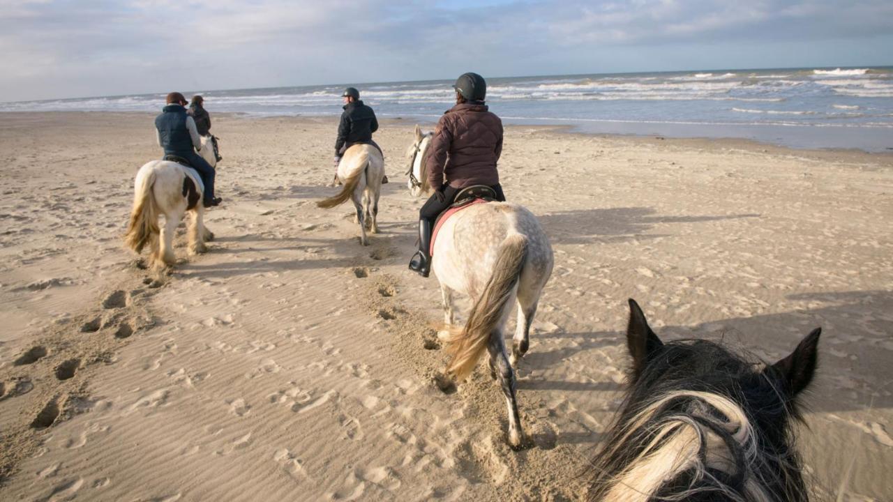 Le Gite De Martine En Baie De Somme Villa Lancheres Ngoại thất bức ảnh